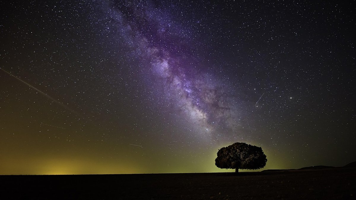 Ethical photography for shy nocturnal mammals